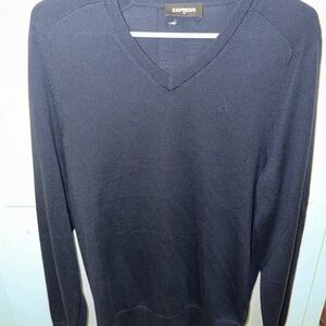 Express Men's V-Neck Sweater - Dark Navy